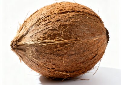 Shreefal